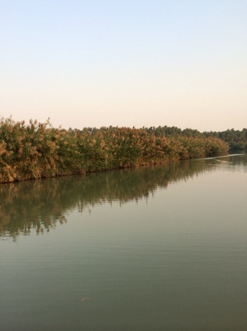 南沙湿地公园-广州市必去景点