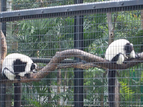 香港动植物公园-香港必去景点