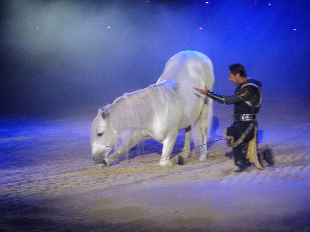 Medieval Times Dinner & Tournament-达拉斯必去景点