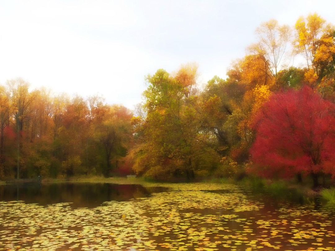 Ellanor C. Lawrence Park-森特维尔必去景点