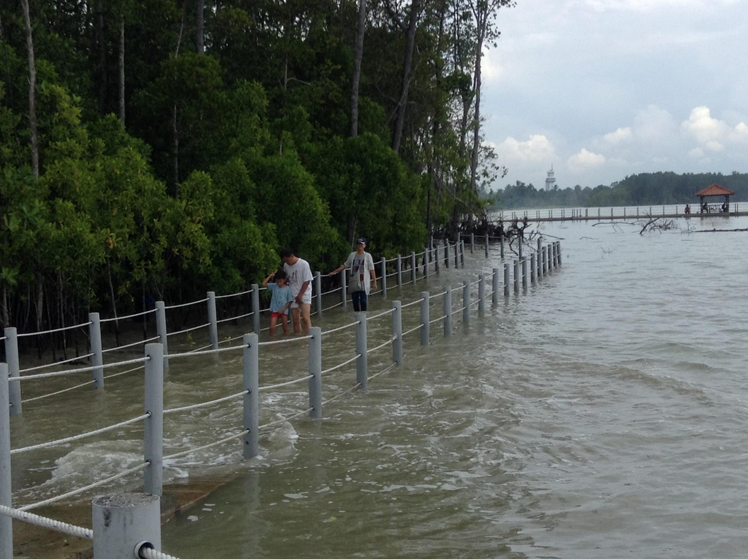 Tanjung Piai National Park景点图片