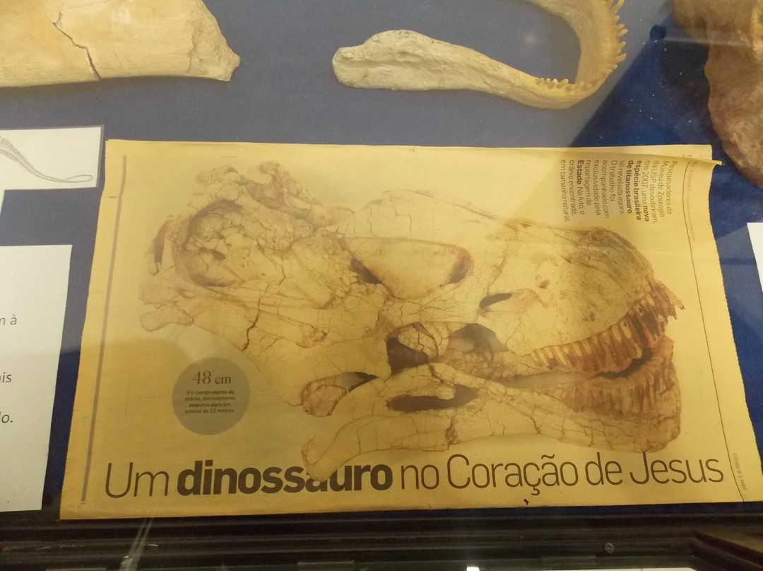 Paleontologia de Marilia Museum景点图片