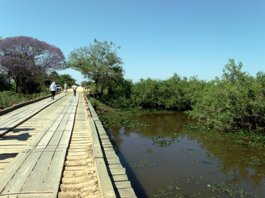 Estrada Parque do Pantanal景点图片