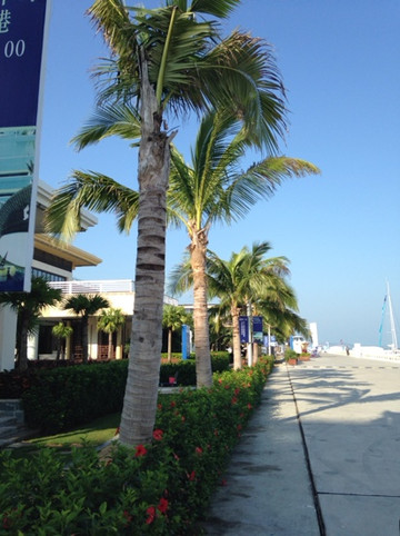 三亚半山半岛帆船港酒店主图