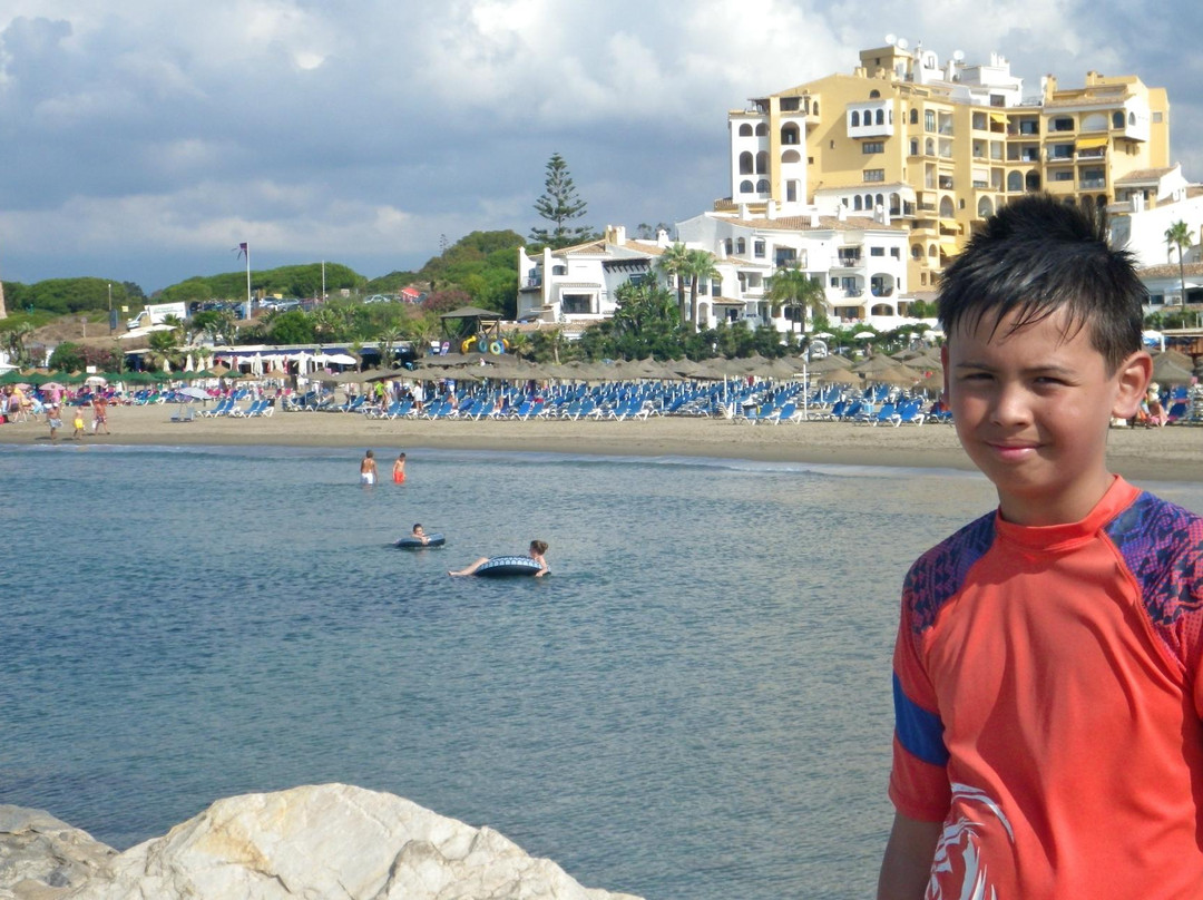 Playa de Calahonda景点图片