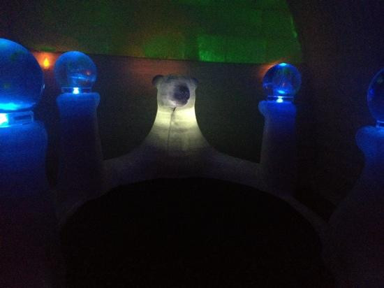 极光冰雕博物馆-费尔班克斯必去景点