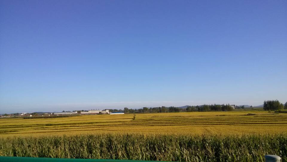 红河峡谷漂流景区景点图片