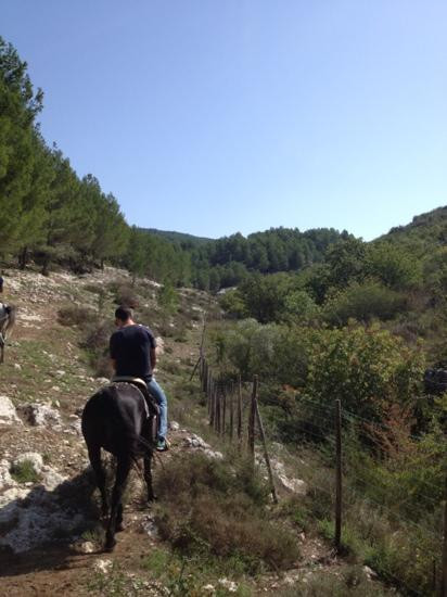 Horseback riding, Pantalica Ranch-Sortino必去景点