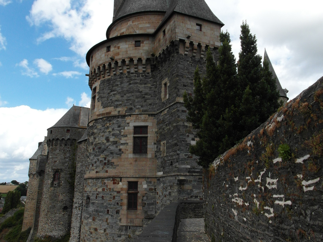 Chateau de Vitre景点图片