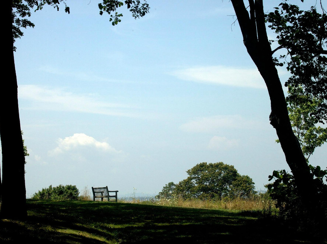 Webb Memorial State Park景点图片