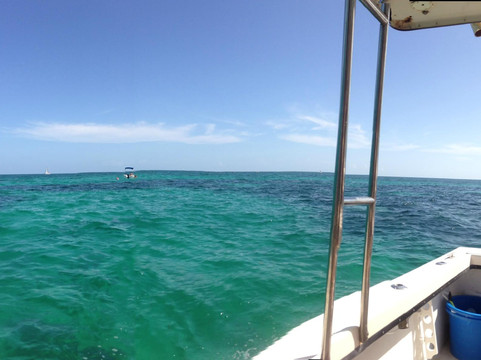 Seamonkey's Scuba Diving-伊斯拉摩拉达必去景点