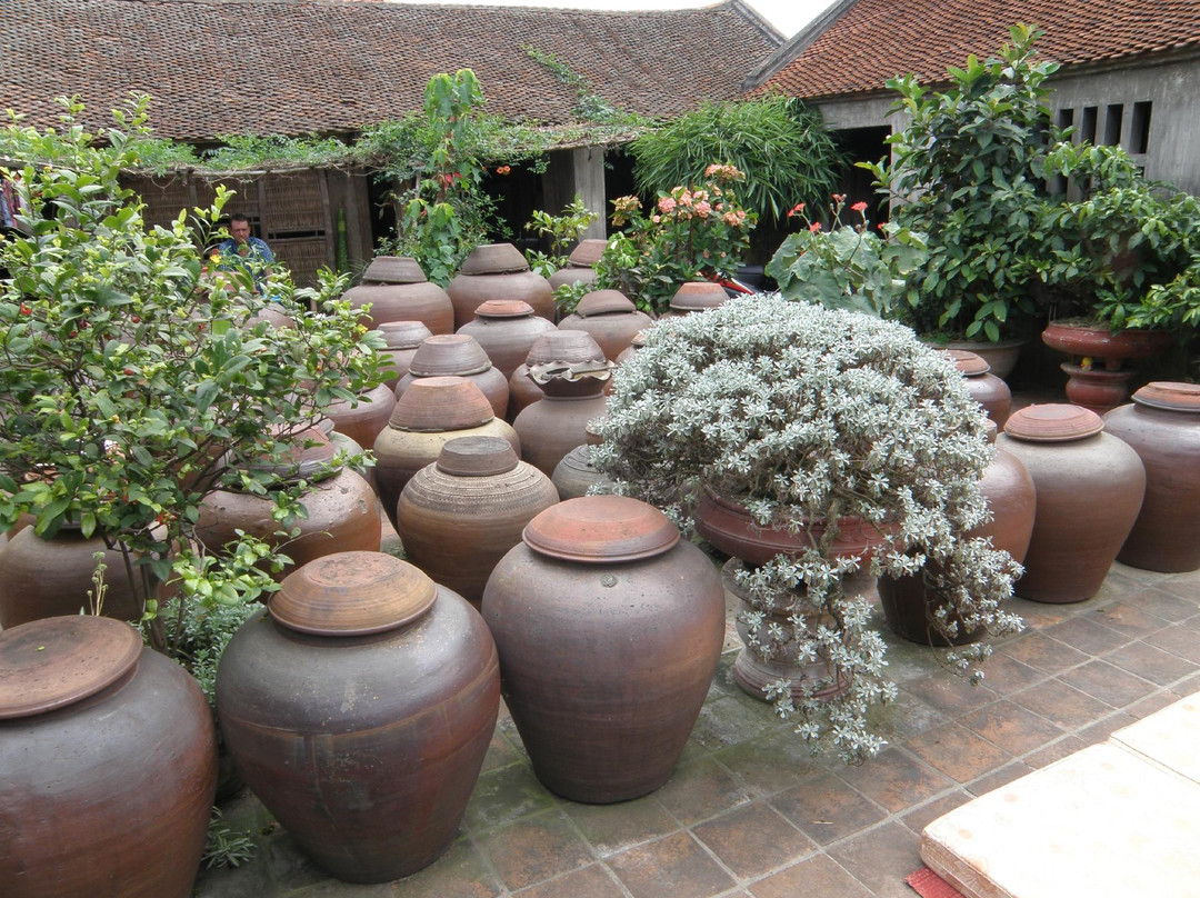 Hanoi Eco Tour - Day Tour-河内必去景点