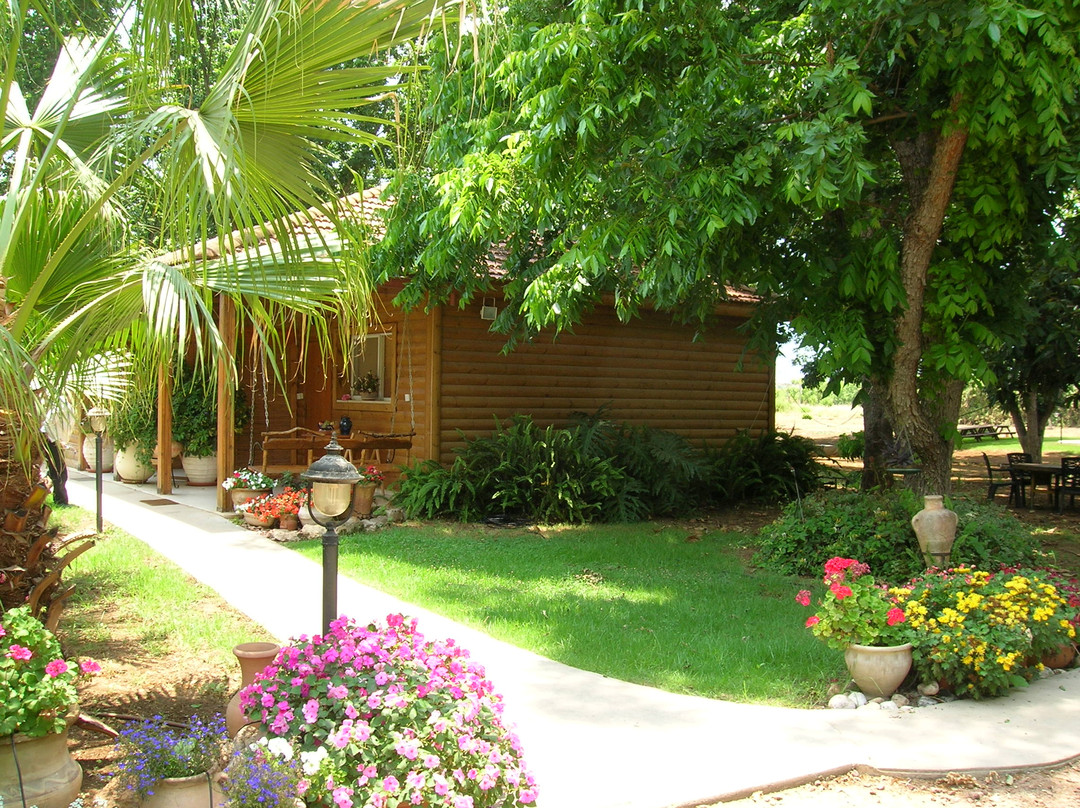 In the Shade of the Pecan