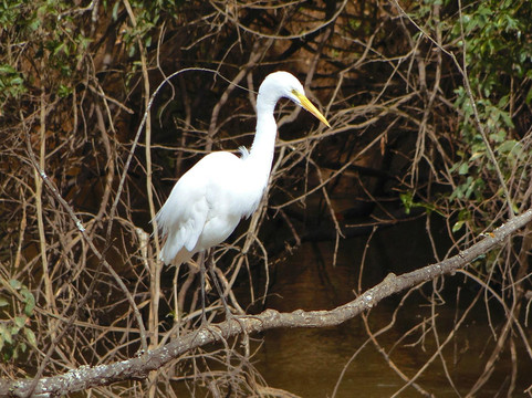 Beira Rio-Santa Rita Do Sapucai必去景点
