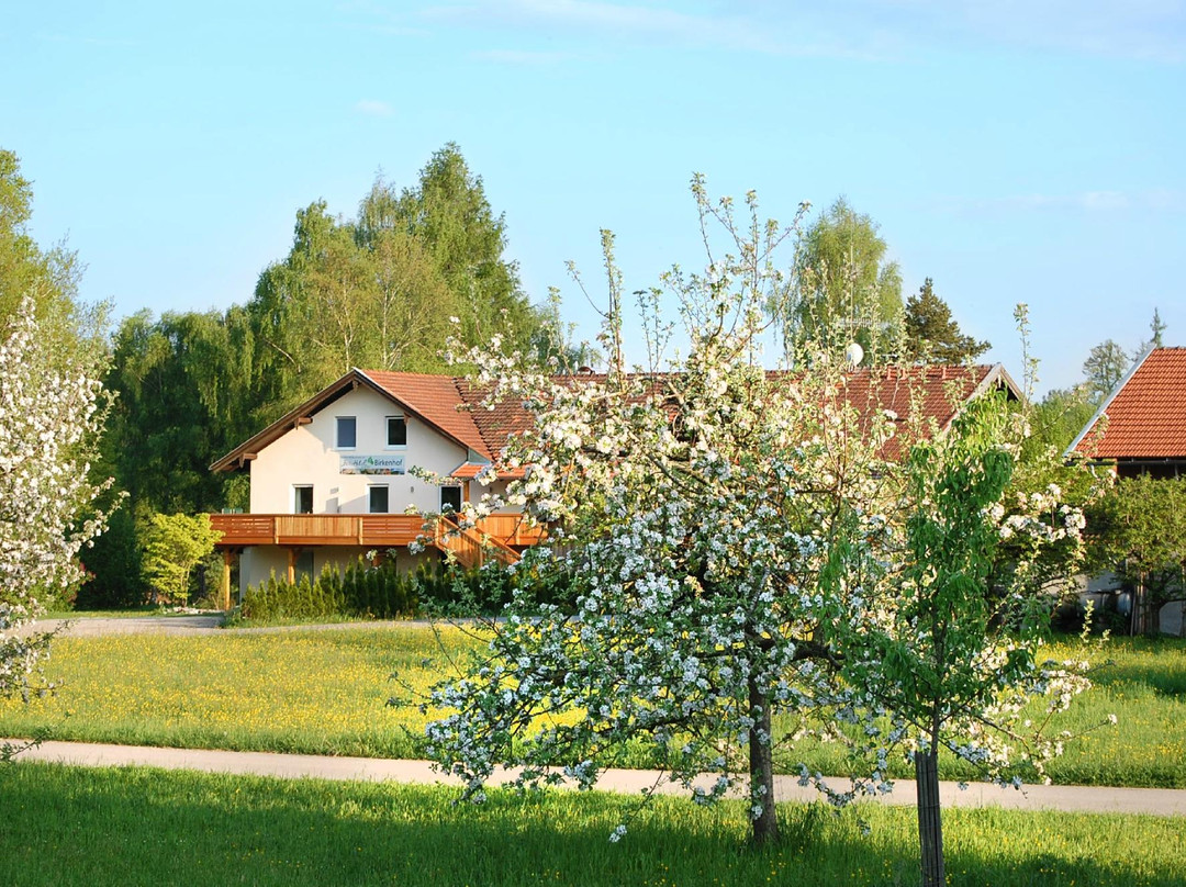 BioHotel Birkenhof主图