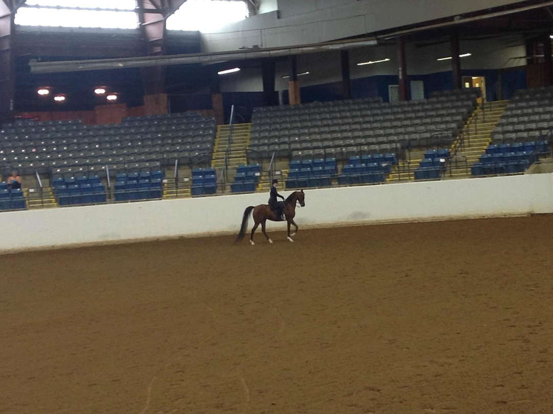 Virginia Horse Center-列克星敦必去景点