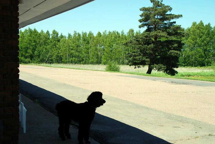 Tantramar Motel主图