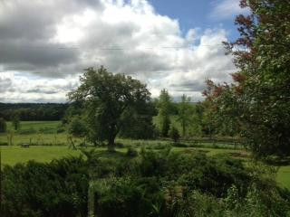 Mad Maple Country Inn主图