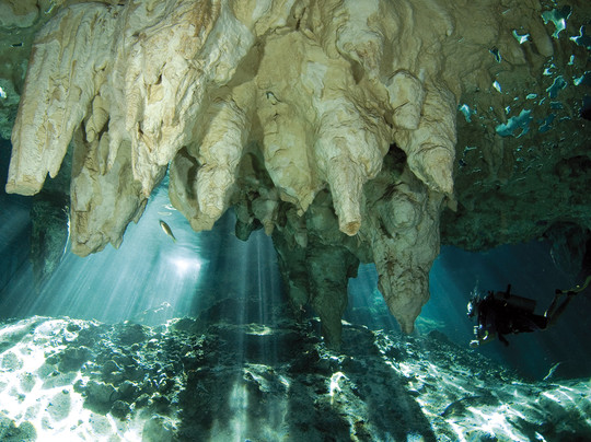 Planet Scuba Mexico-阿范特拉斯港必去景点