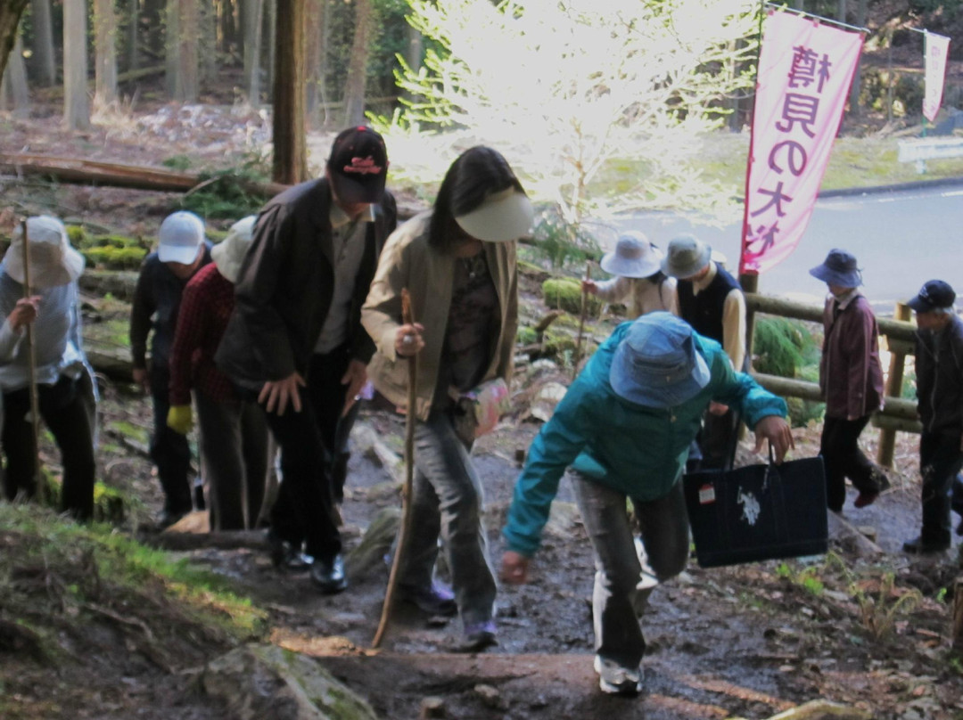 Tarumino Ozakura-养父市必去景点