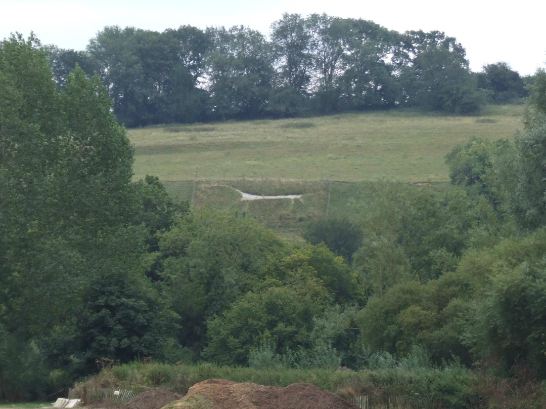 Marlborough White Horse-马尔堡必去景点
