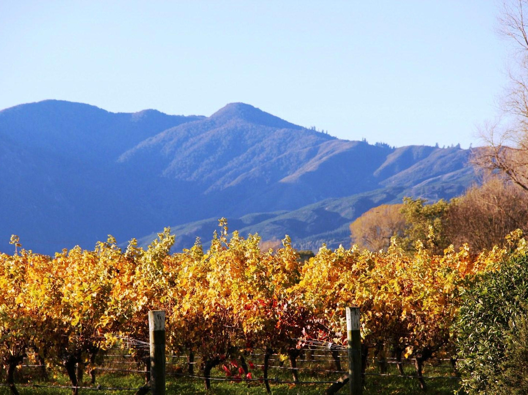 Marlborough Tours景点图片