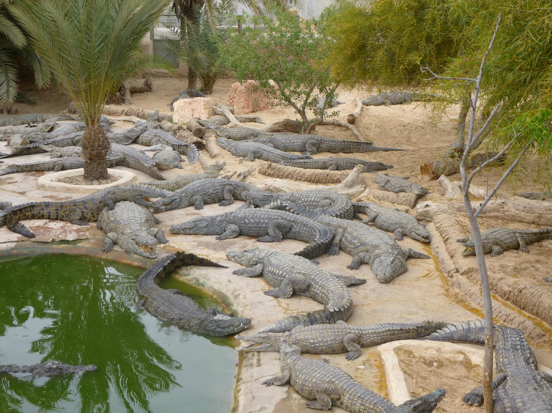 The Crocodile Farm景点图片