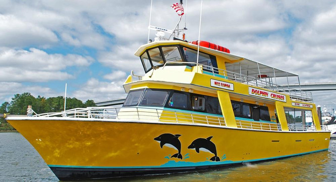 Sunny Lady Dolphin & Sunset Cruise at The Wharf-橙色海湾必去景点