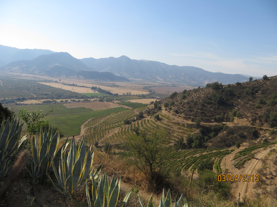 Ruta del Vino - Vinos y Tours-圣克鲁斯必去景点