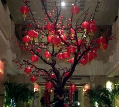 同里湖大饭店主图