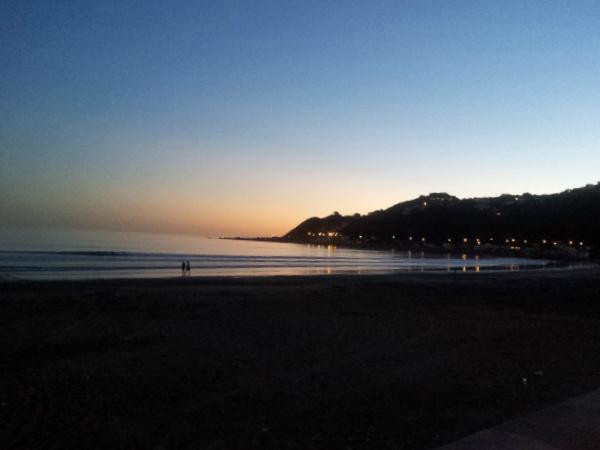 Lyall Bay景点图片