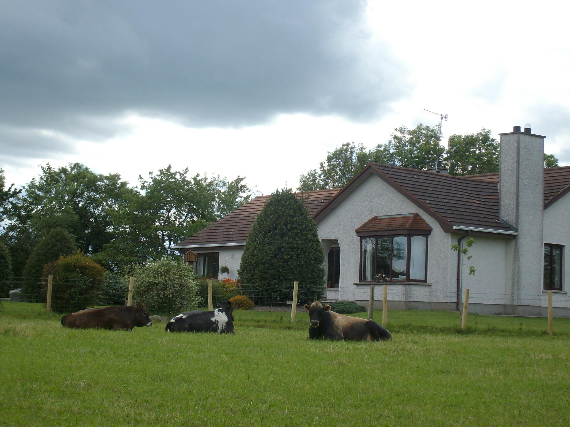 Greenacres Guesthouse-官方