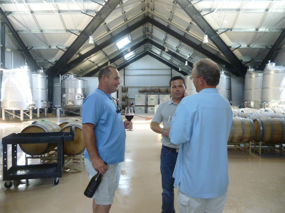 Venge Vineyards-卡利斯托加必去景点