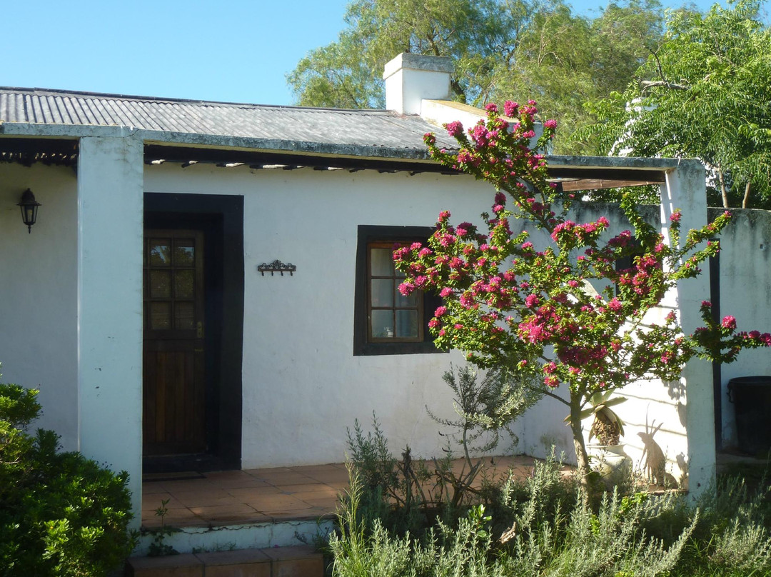 Reed Valley Inn主图