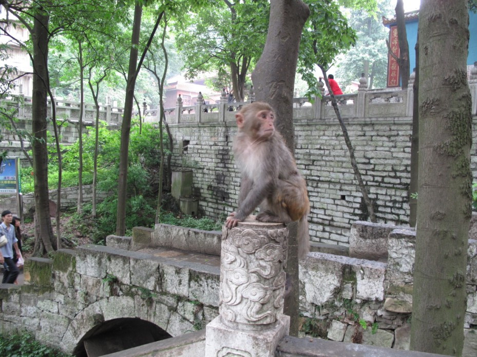 弘福寺景点图片