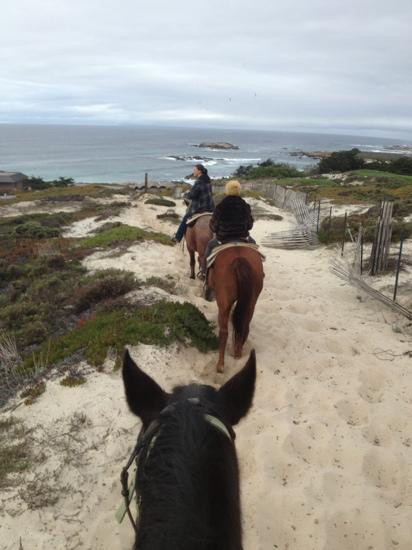Pebble Beach Equestrian Center-圆石滩必去景点