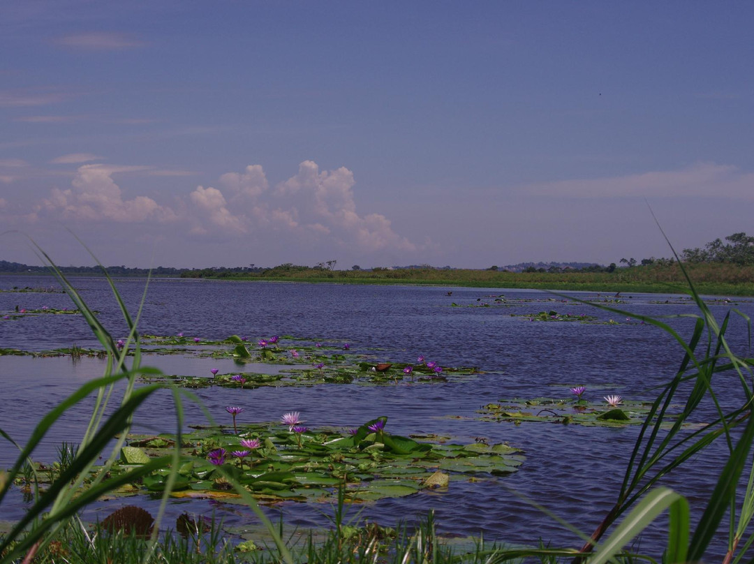 World Birding Center-Mission必去景点