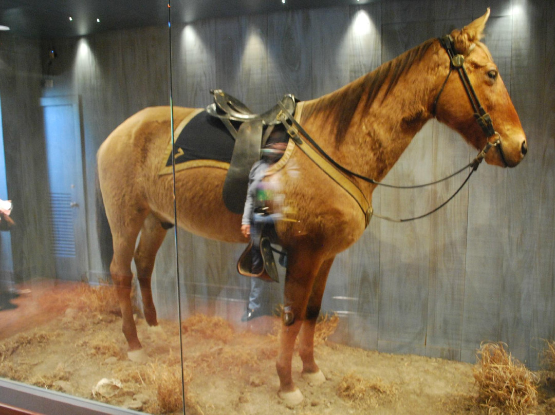 Biodiversity Institute and Natural History Museum-劳伦斯必去景点