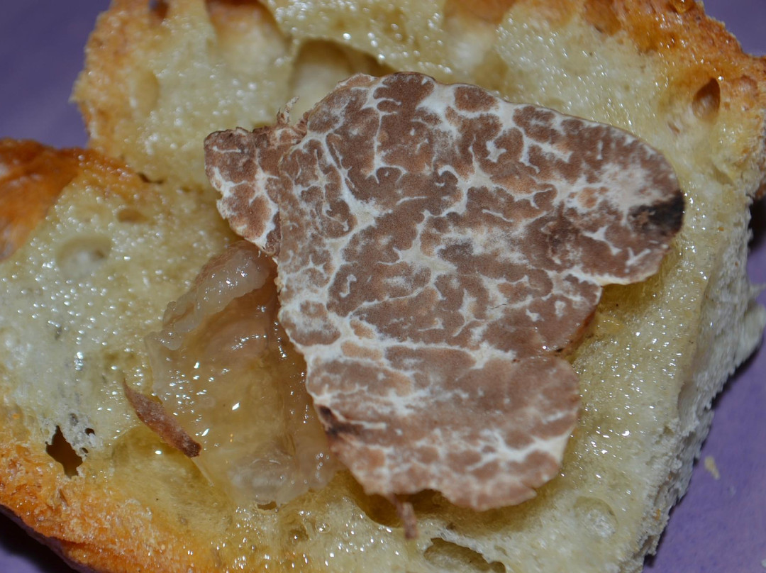 The Truffle Hunter景点图片