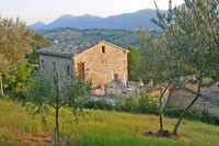 Locanda dell'Istrice主图