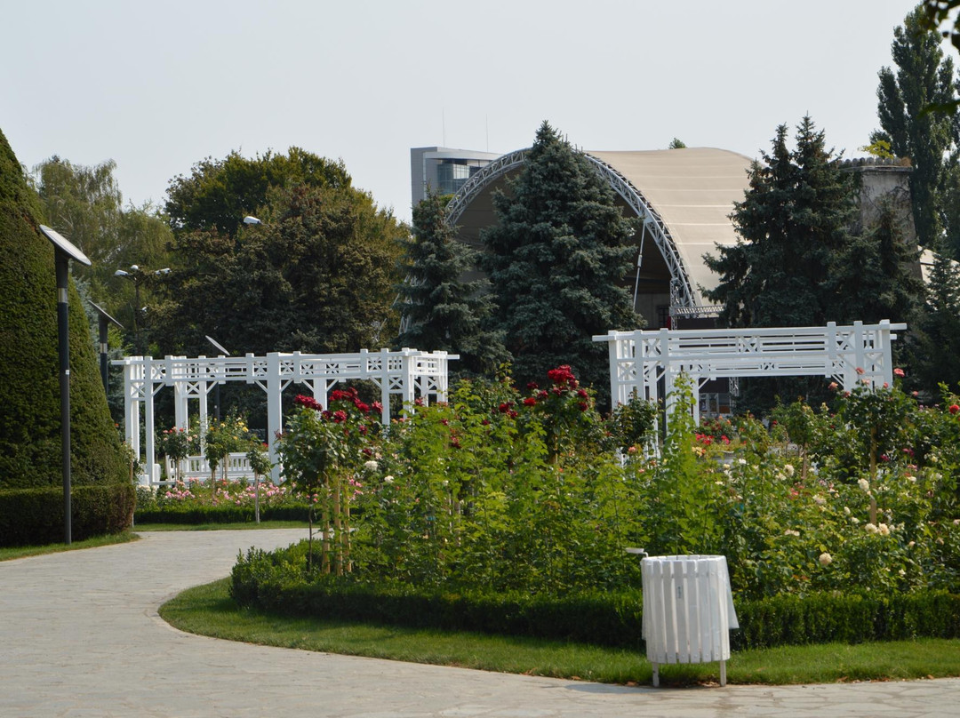 Parcul Rozelor景点图片