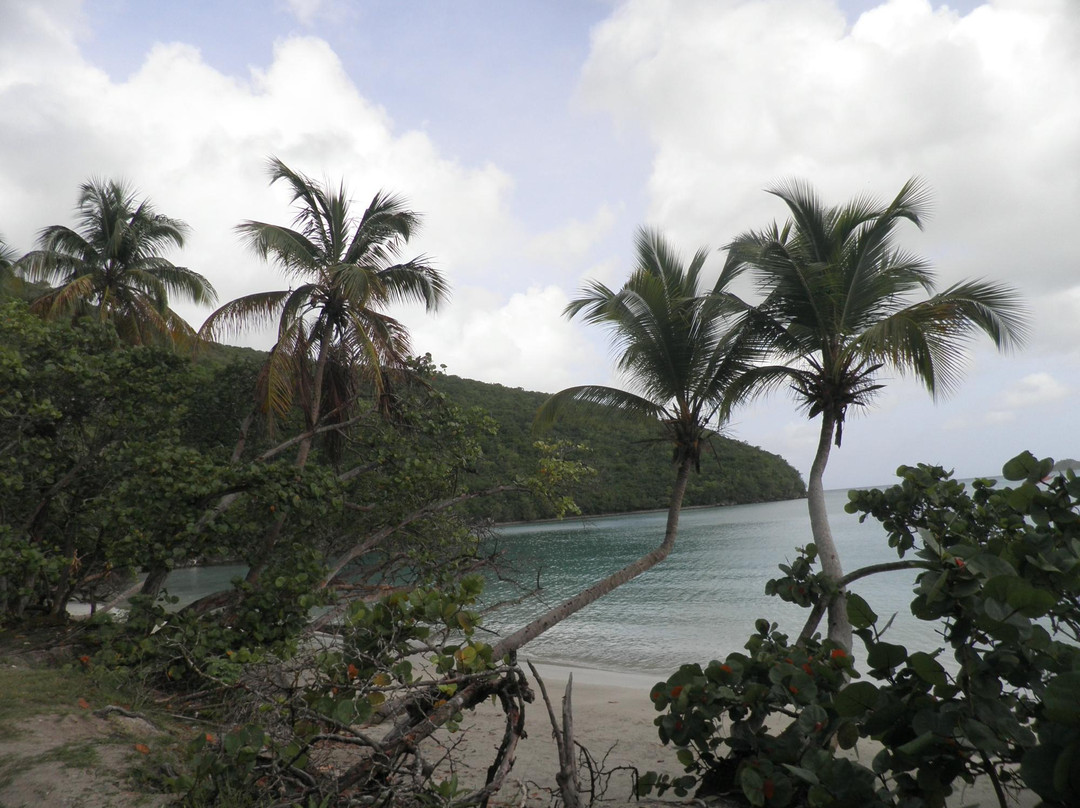 Maho Bay Beach-克鲁兹湾必去景点