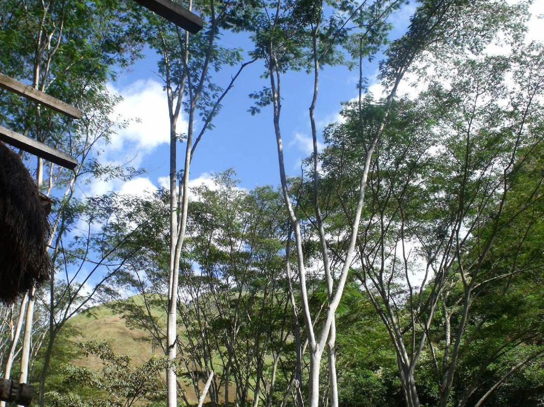 Zipline Cola de Mono-Santa Teresa必去景点