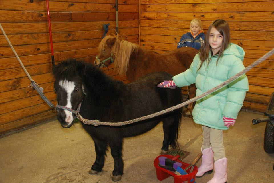 Holly Ridge Farm Equestrian Center-Willards必去景点