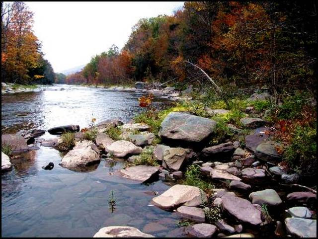 Lighthouse on the Hill Motel主图