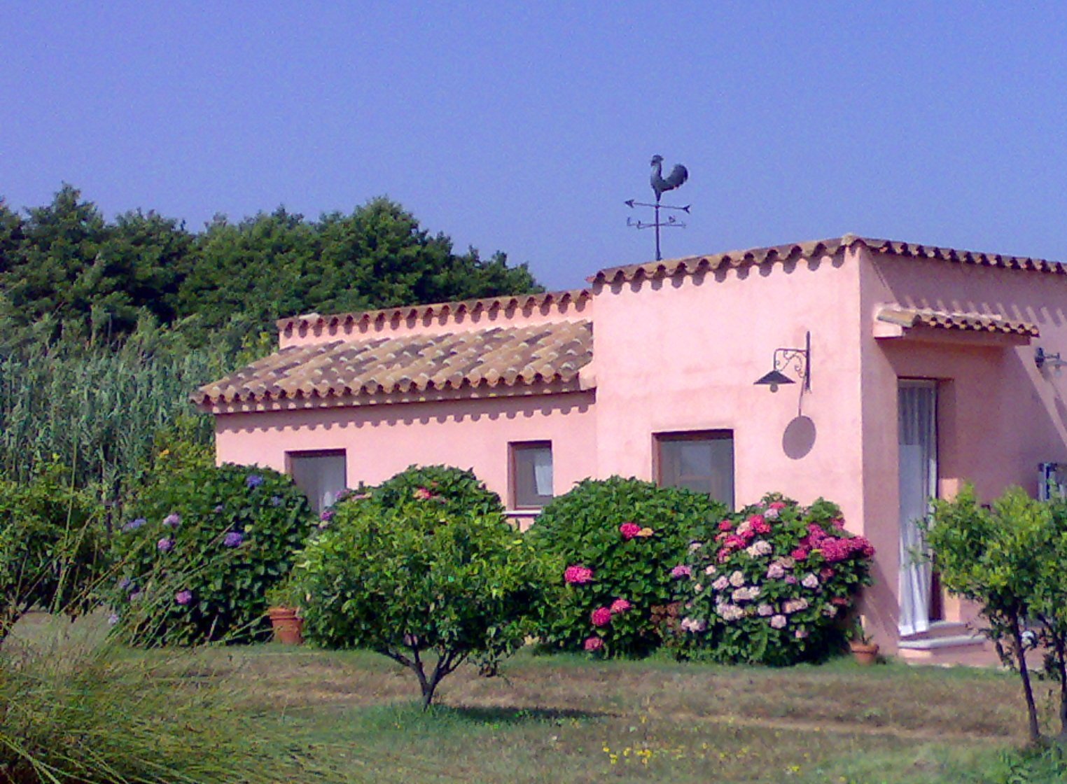 B&B Barigi-官方