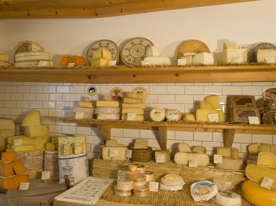 谢利丹斯商店-都柏林必去景点