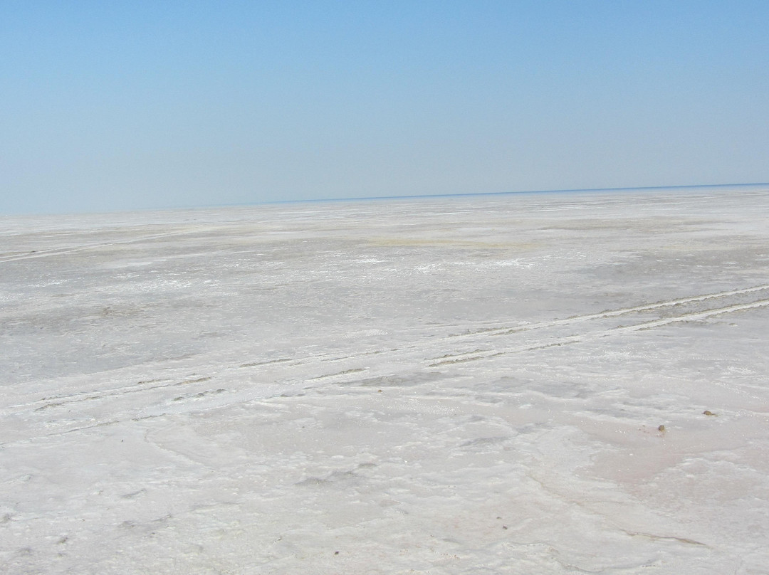 White Desert Of Kutch景点图片