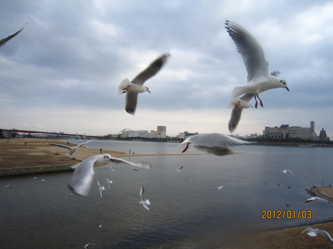 Omae Beach Park-西宫市必去景点
