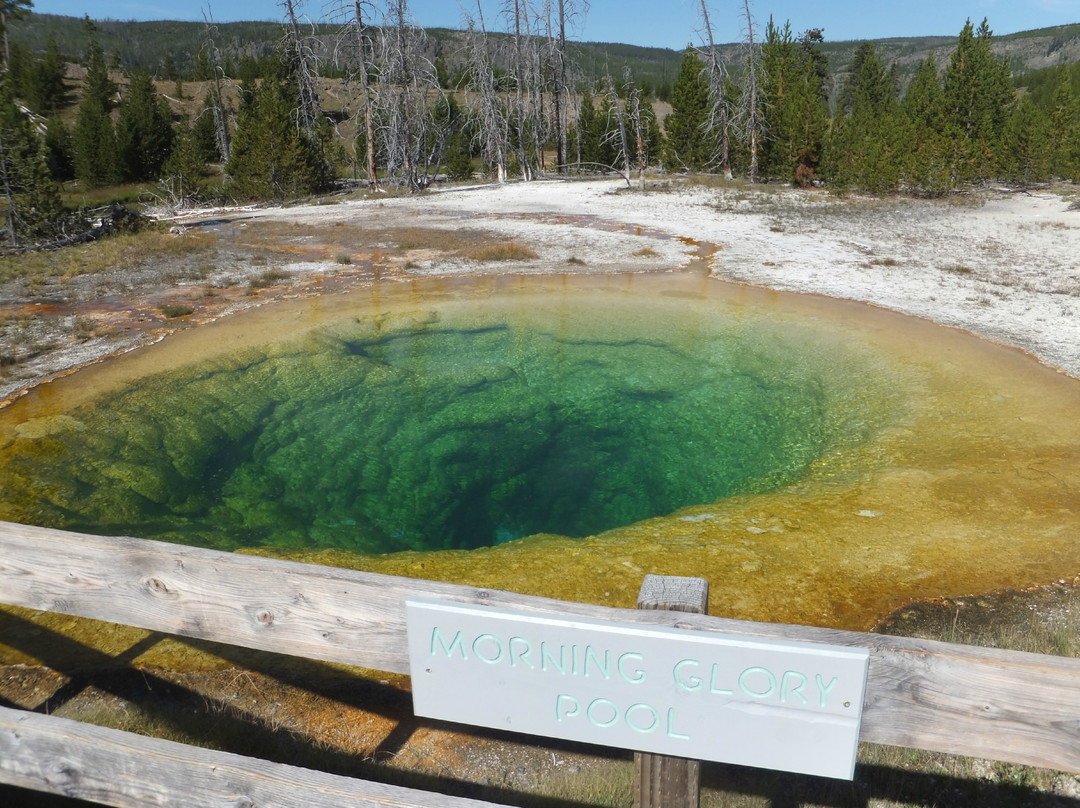 上间歇泉盆地-黄石国家公园必去景点